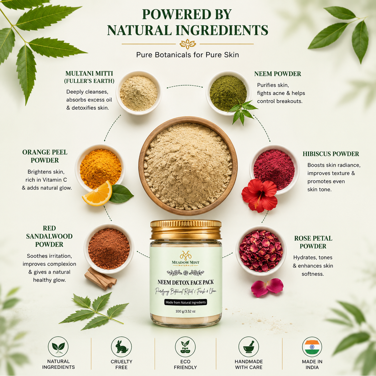 Neem Detox Face Pack
